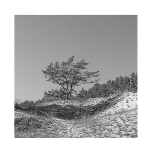 六十岁老太婆logo
